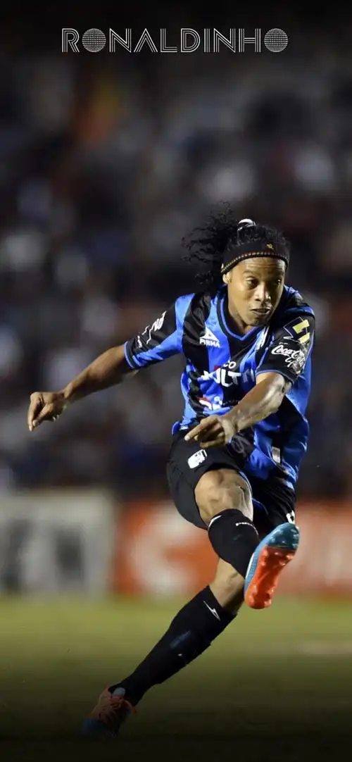 体系以实际 体系以实际